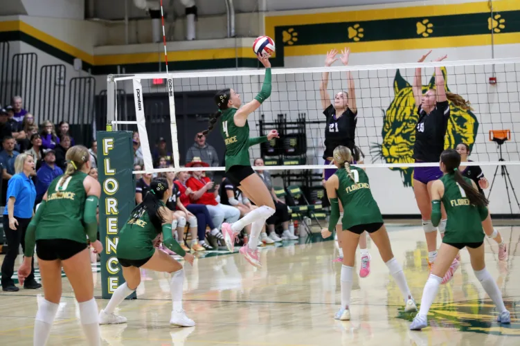 LadyCats advance to VB sectionals